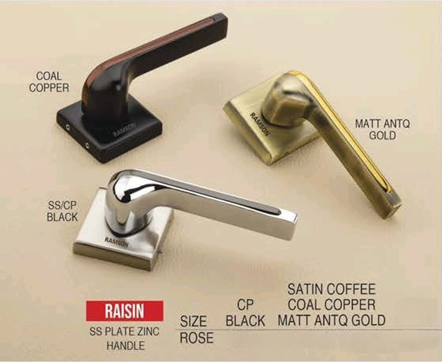 Ramson Premium Quality Stainless Steel Mortise Raisin SS Plate Zinc Handle with Cylinder Key Function – 10 inch (250mm)