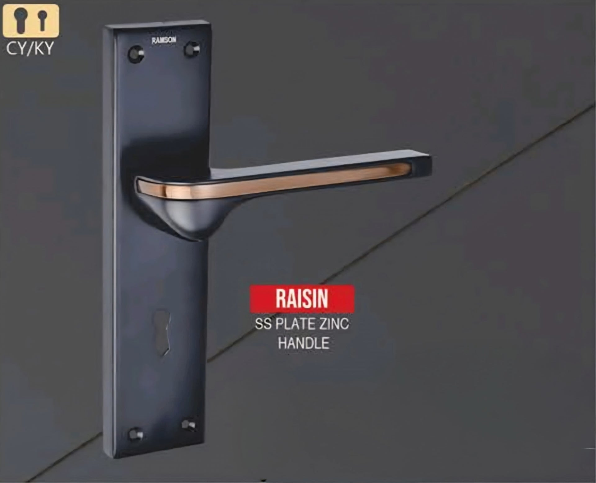 Ramson Premium Quality Stainless Steel Mortise Raisin SS Plate Zinc Handle with Key 8 inch(200mm) Black